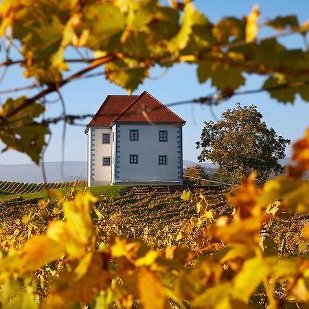 Apartament Wine Grower'S Mansion Zlati Gric Slovenske Konjice Zewnętrze zdjęcie