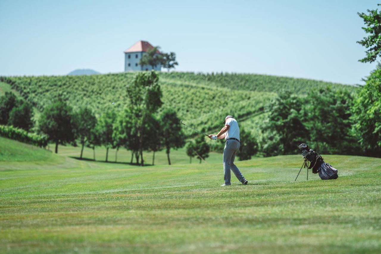 Apartament Wine Grower'S Mansion Zlati Gric Slovenske Konjice Zewnętrze zdjęcie