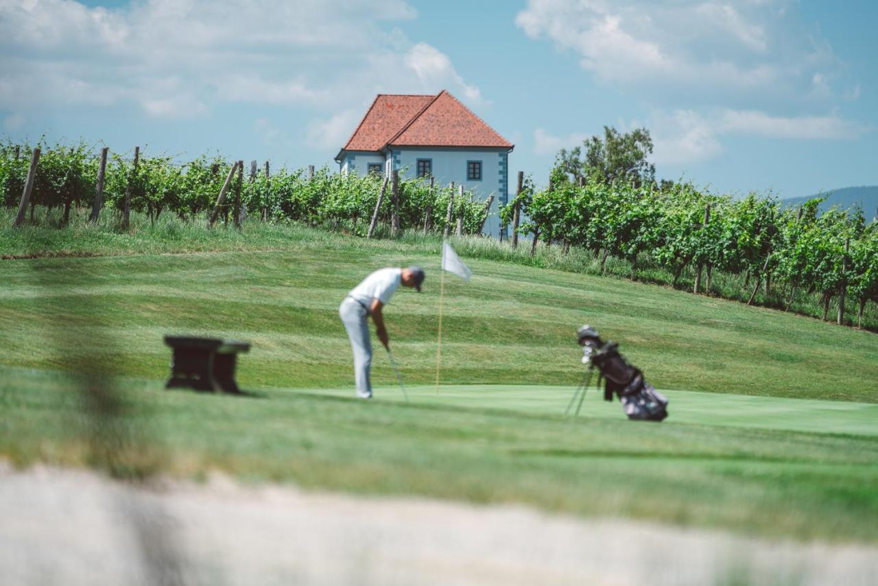 Apartament Wine Grower'S Mansion Zlati Gric Slovenske Konjice Zewnętrze zdjęcie