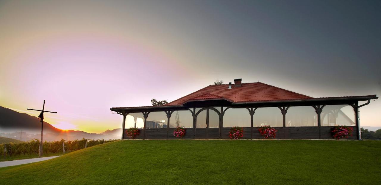 Apartament Wine Grower'S Mansion Zlati Gric Slovenske Konjice Zewnętrze zdjęcie