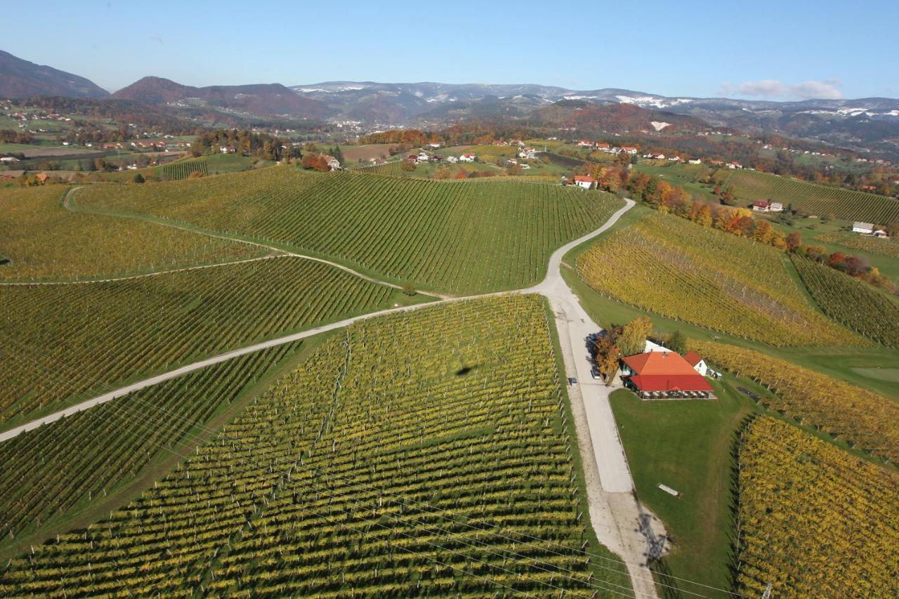 Apartament Wine Grower'S Mansion Zlati Gric Slovenske Konjice Zewnętrze zdjęcie