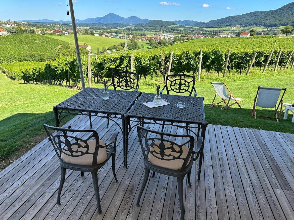 Apartament Wine Grower'S Mansion Zlati Gric Slovenske Konjice Zewnętrze zdjęcie