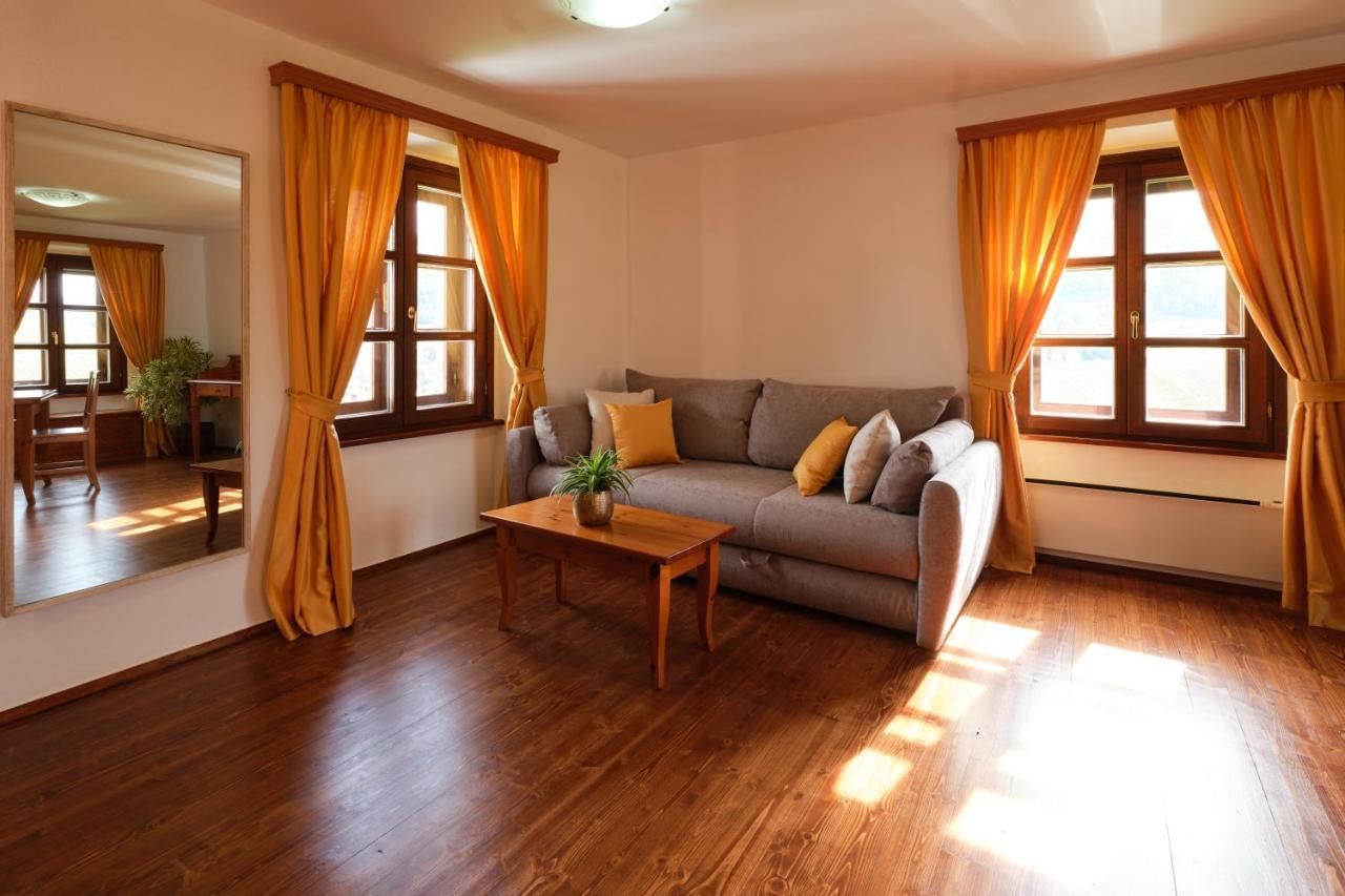 Apartament Wine Grower'S Mansion Zlati Gric Slovenske Konjice Zewnętrze zdjęcie