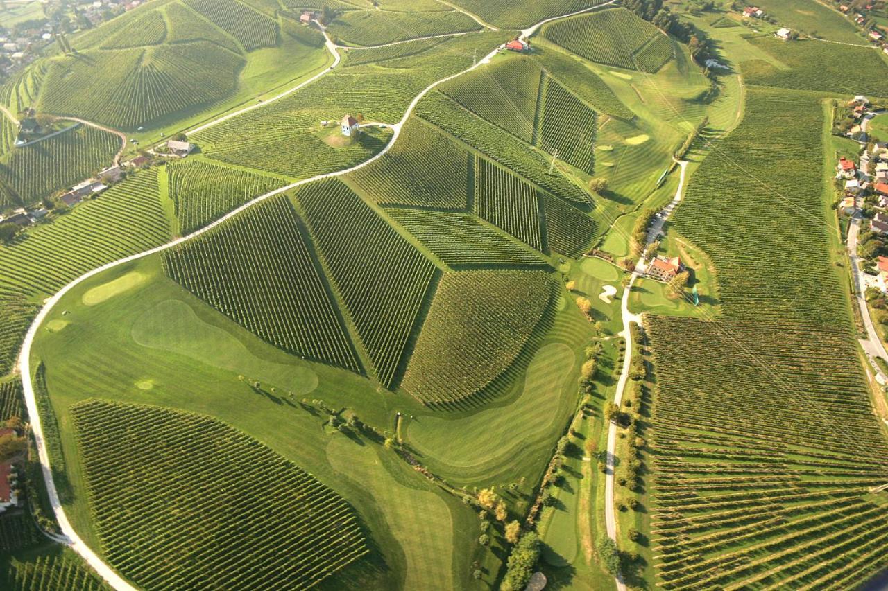 Apartament Wine Grower'S Mansion Zlati Gric Slovenske Konjice Zewnętrze zdjęcie
