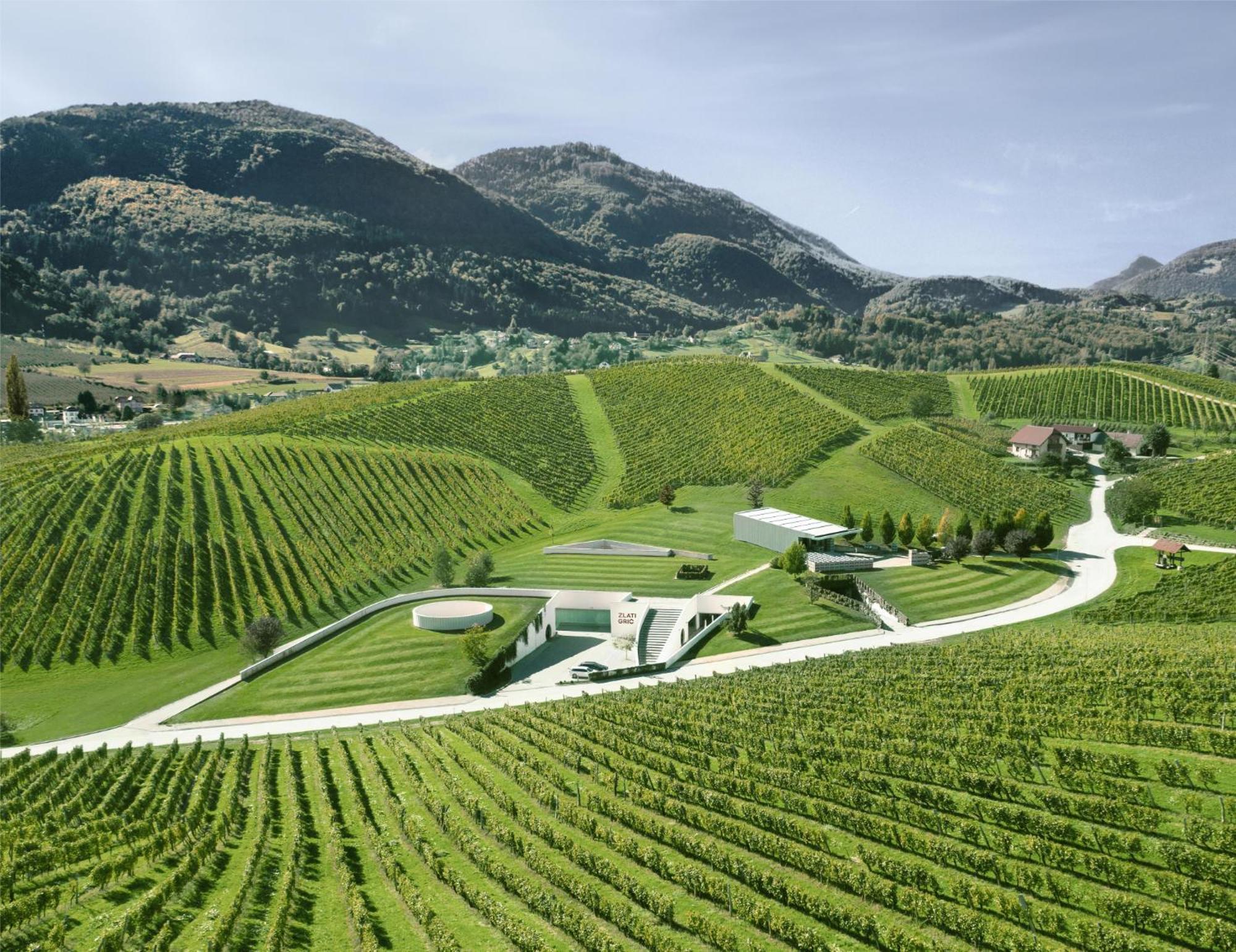 Apartament Wine Grower'S Mansion Zlati Gric Slovenske Konjice Zewnętrze zdjęcie