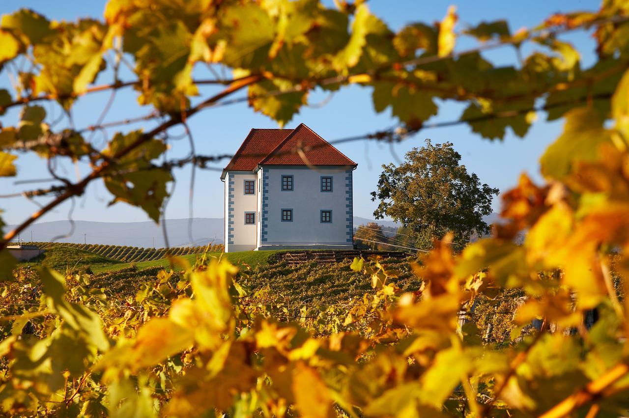 Apartament Wine Grower'S Mansion Zlati Gric Slovenske Konjice Zewnętrze zdjęcie