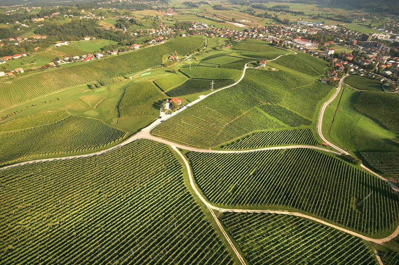 Apartament Wine Grower'S Mansion Zlati Gric Slovenske Konjice Zewnętrze zdjęcie