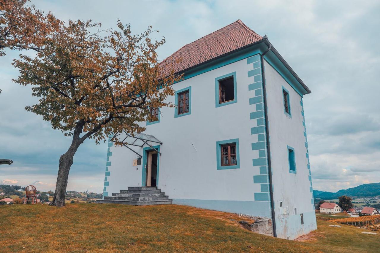 Apartament Wine Grower'S Mansion Zlati Gric Slovenske Konjice Zewnętrze zdjęcie